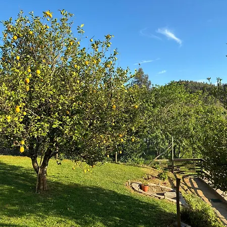 Casa Casal De Holiday home Carballo