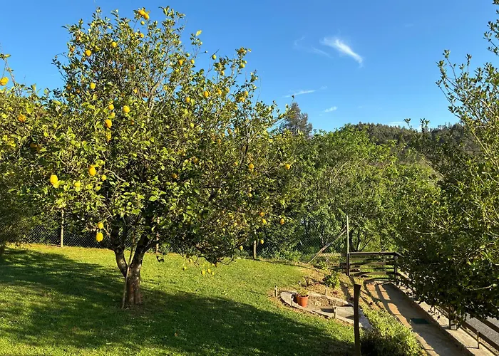 Casa Casal De Semesterbostad Carballo