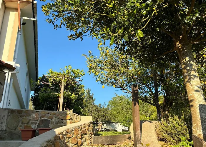 Casa Casal De
